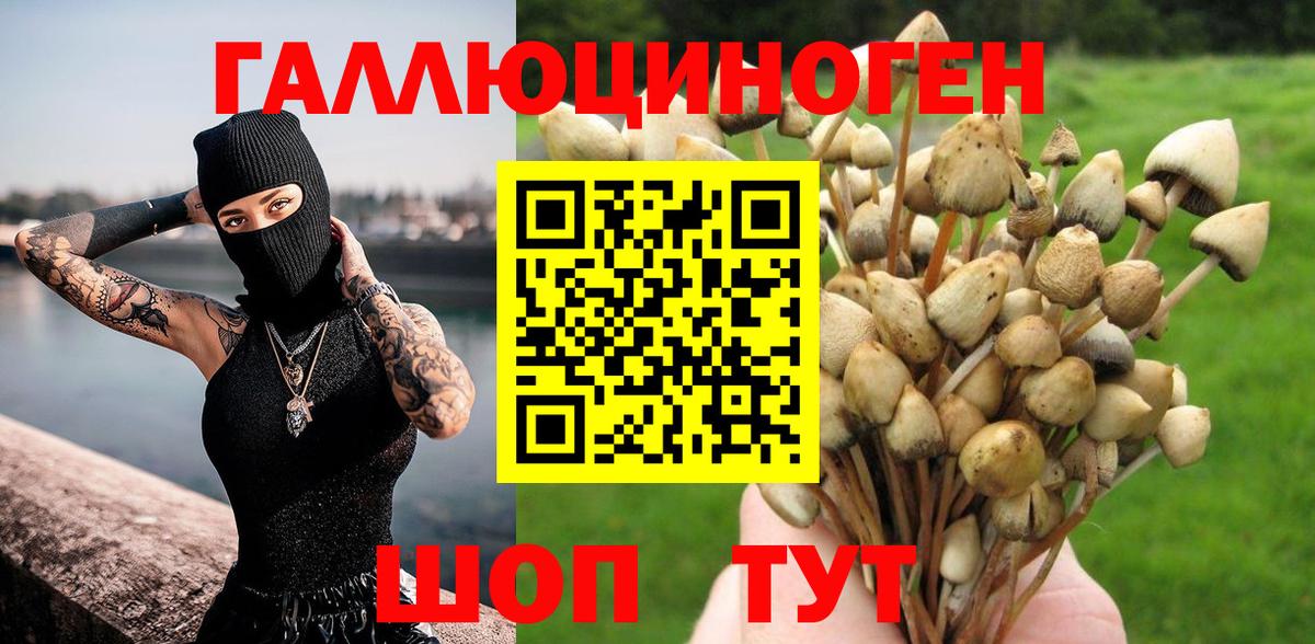 Амурск  Псилоцибиновые грибы прущие грибы  Вход с VPN  Галлюциногенные грибы мухоморы 